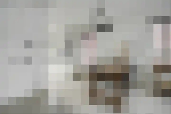 Houtstraat 11 Waddinxveen thumbnail 16