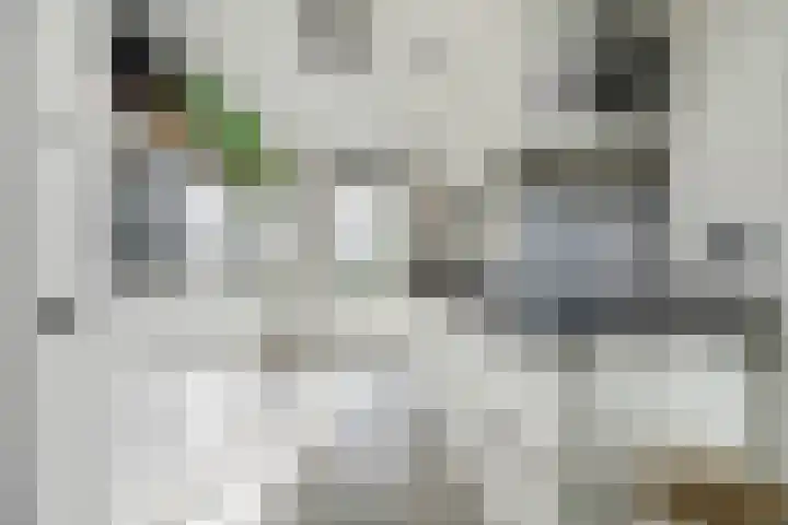 Houtstraat 11 Waddinxveen thumbnail 18