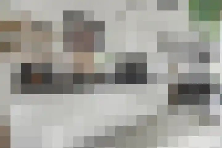 Houtstraat 11 Waddinxveen thumbnail 20