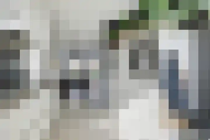 Houtstraat 11 Waddinxveen thumbnail 21