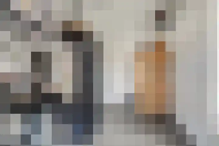 Houtstraat 11 Waddinxveen thumbnail 26