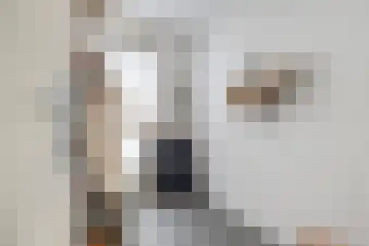 Houtstraat 11 Waddinxveen thumbnail 27