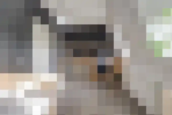 Houtstraat 11 Waddinxveen thumbnail 33