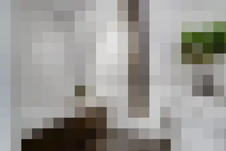 Houtstraat 11 Waddinxveen thumbnail 34
