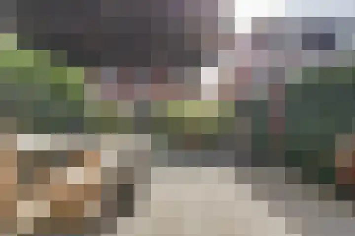 Houtstraat 11 Waddinxveen thumbnail 41