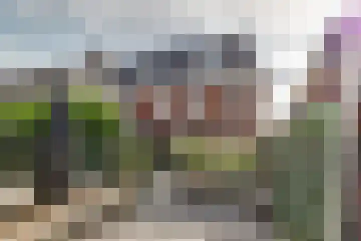 Houtstraat 11 Waddinxveen thumbnail 42