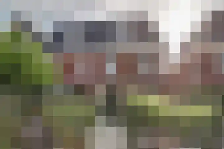 Houtstraat 11 Waddinxveen thumbnail 43
