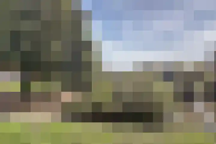 Houtstraat 11 Waddinxveen thumbnail 47