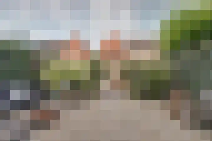 Houtstraat 11 Waddinxveen thumbnail 5