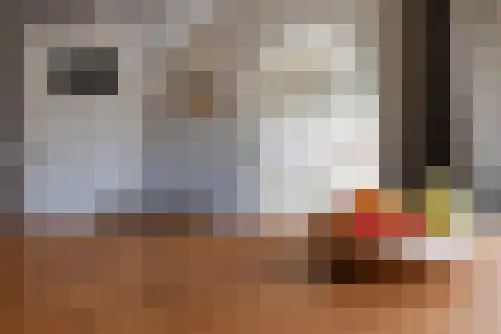 Houtstraat 12 A Oss thumbnail 10