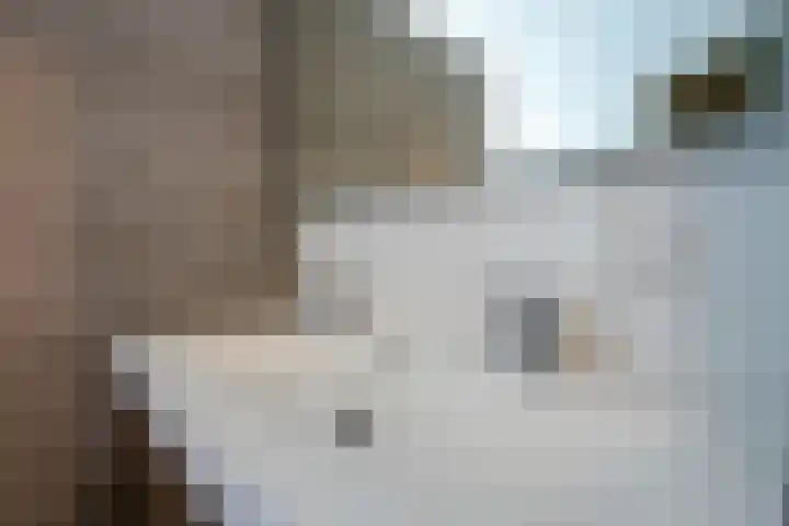 Houtstraat 12 A Oss thumbnail 20