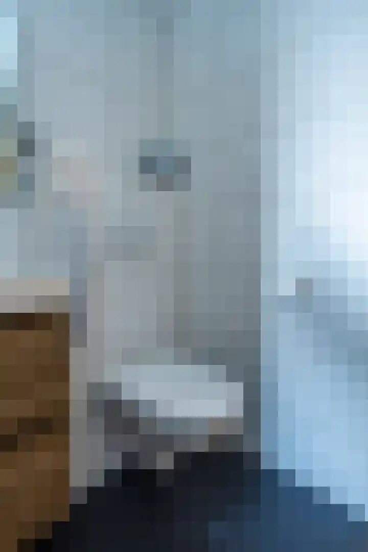 Houtstraat 12 A Oss thumbnail 21