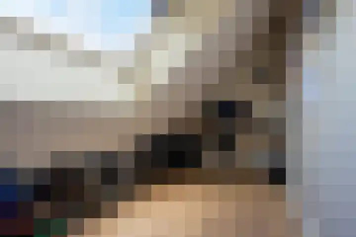 Houtstraat 12 A Oss thumbnail 24
