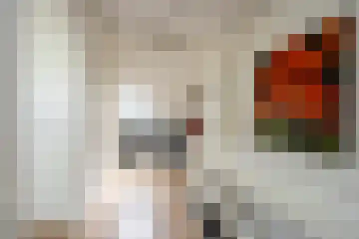 Houtstraat 12 A Oss thumbnail 25