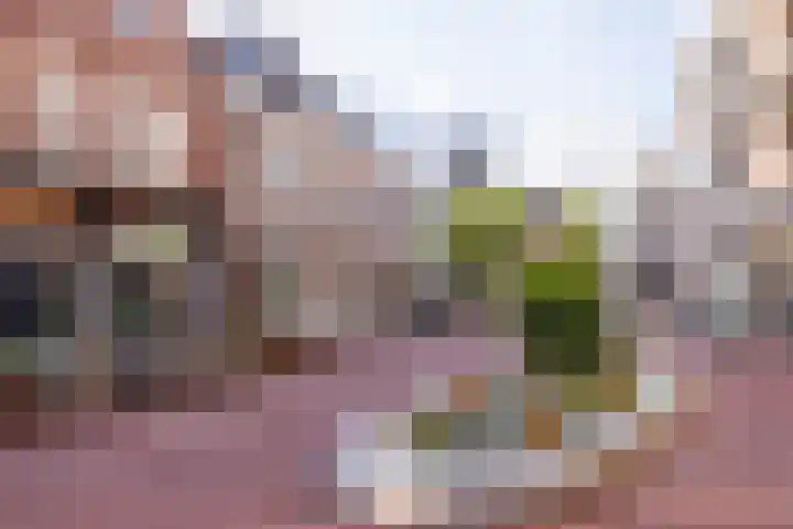 Houtstraat 12 A Oss thumbnail 28