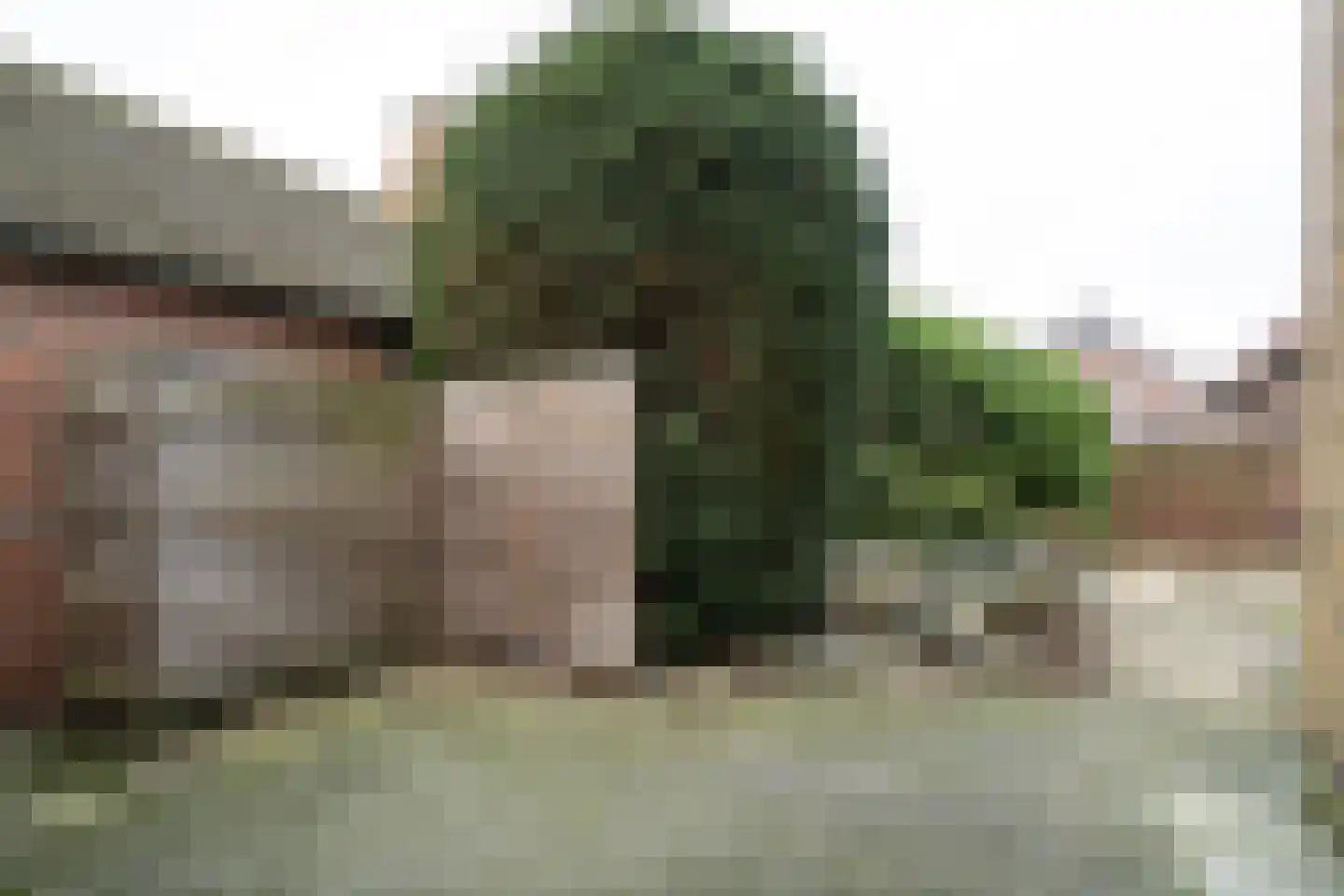 Houtstraat 122 Echt thumbnail 23