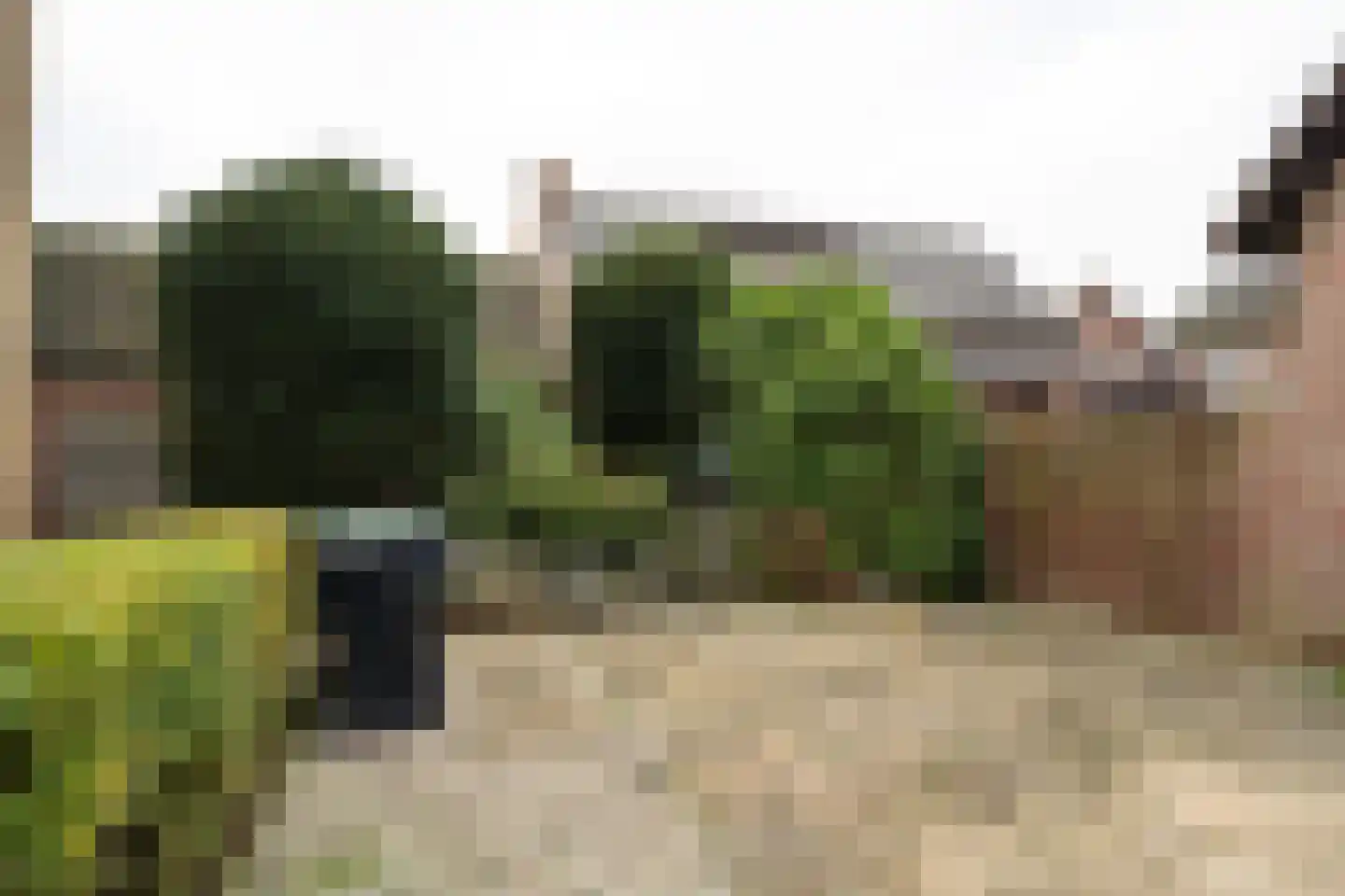 Houtstraat 122 Echt thumbnail 28