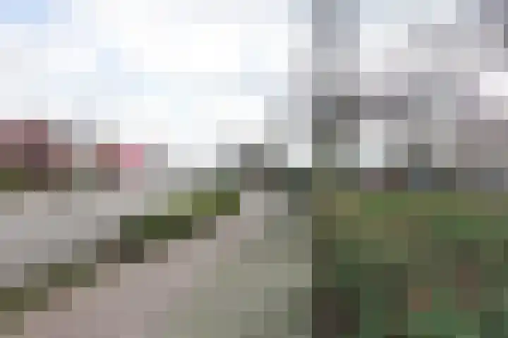 Houtstraat 122 Echt thumbnail 39