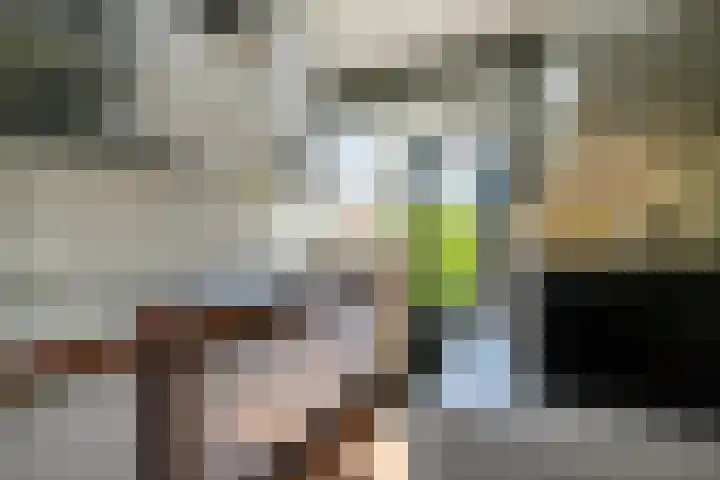 Houtstraat 17 Bergambacht thumbnail 11
