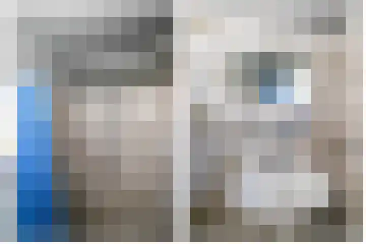 Houtstraat 17 Bergambacht thumbnail 17