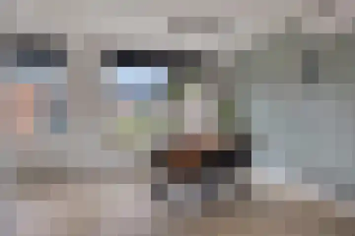 Houtstraat 17 Losser thumbnail 12