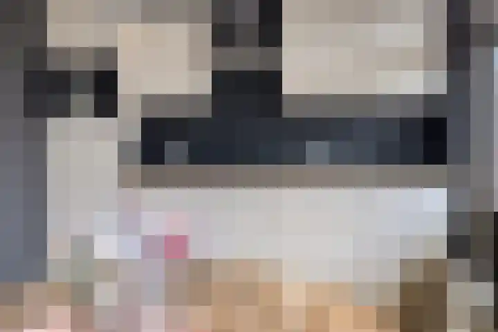 Houtstraat 17 Losser thumbnail 13