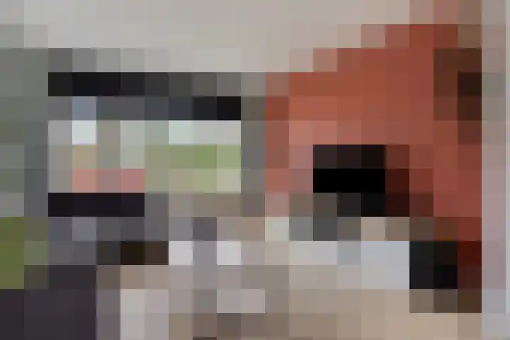 Houtstraat 17 Losser thumbnail 7