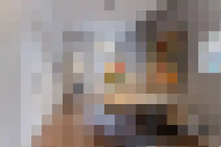 Houtstraat 2 Eindhoven thumbnail 13