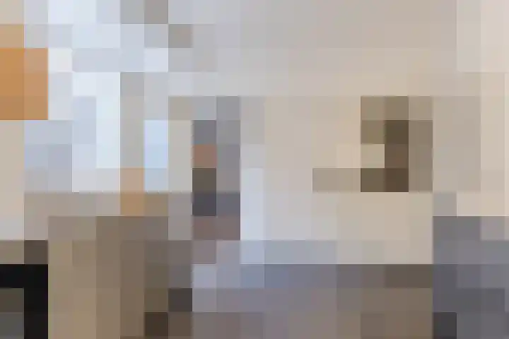 Houtstraat 2 Eindhoven thumbnail 14