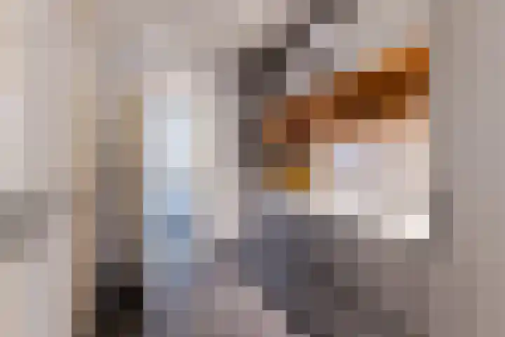 Houtstraat 2 Eindhoven thumbnail 16