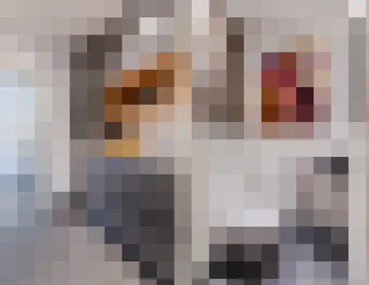 Houtstraat 2 Eindhoven thumbnail 17