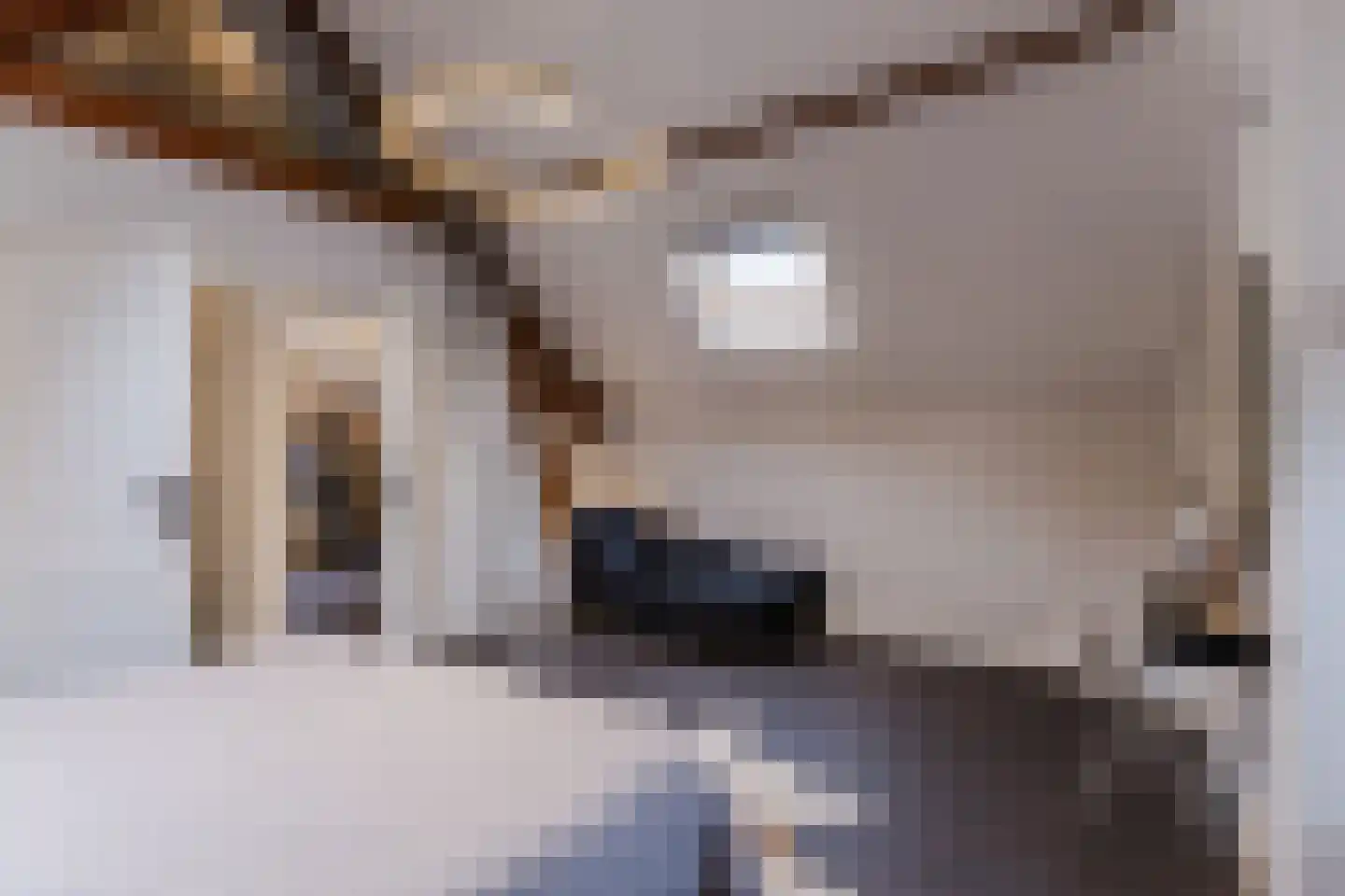 Houtstraat 2 Eindhoven thumbnail 21
