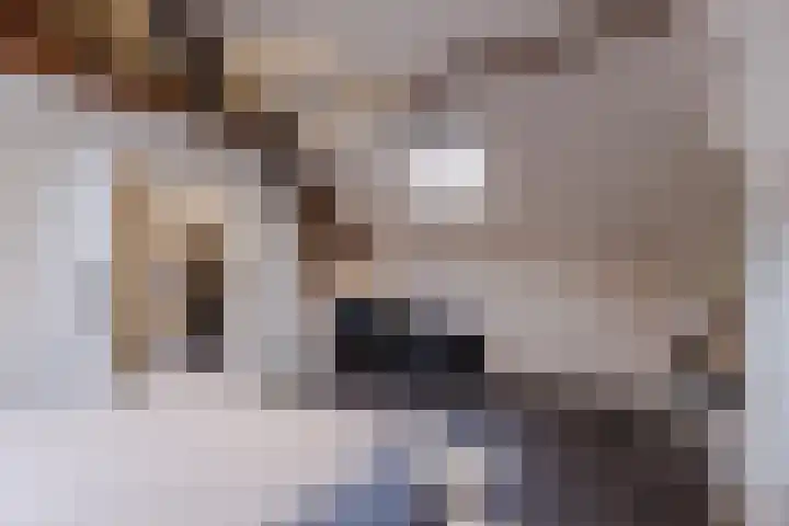 Houtstraat 2 Eindhoven thumbnail 23