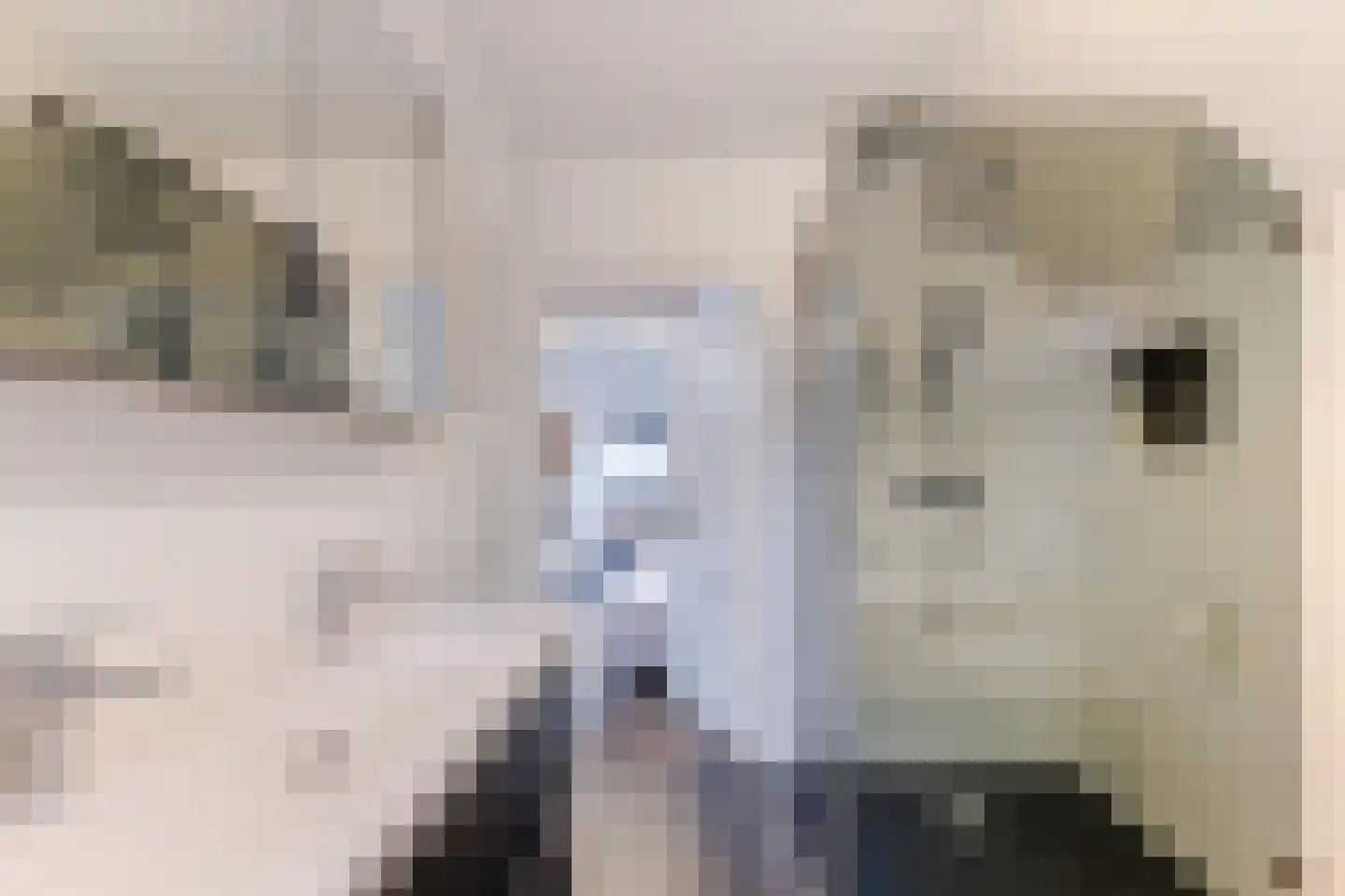 Houtstraat 2 Eindhoven thumbnail 24