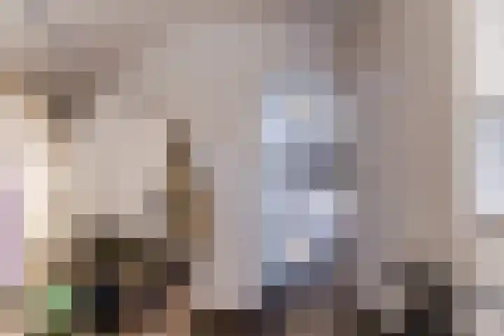 Houtstraat 2 Eindhoven thumbnail 26