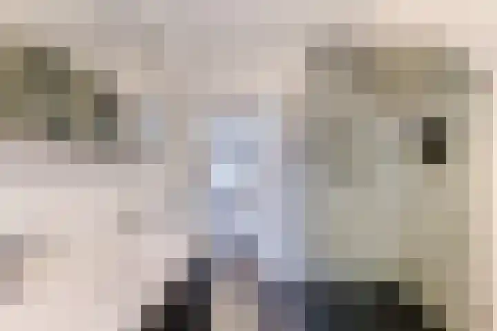 Houtstraat 2 Eindhoven thumbnail 27