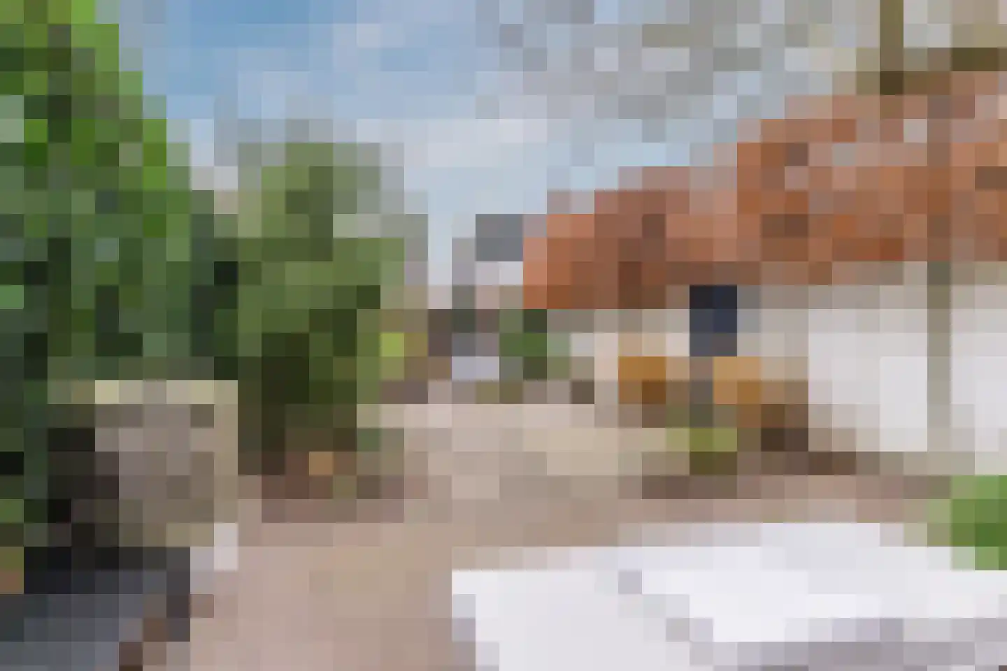 Houtstraat 2 Eindhoven thumbnail 29