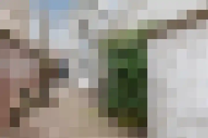 Houtstraat 2 Eindhoven thumbnail 30