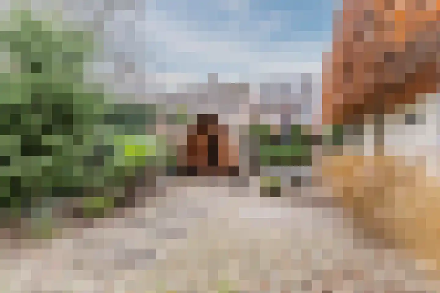 Houtstraat 2 Eindhoven thumbnail 31