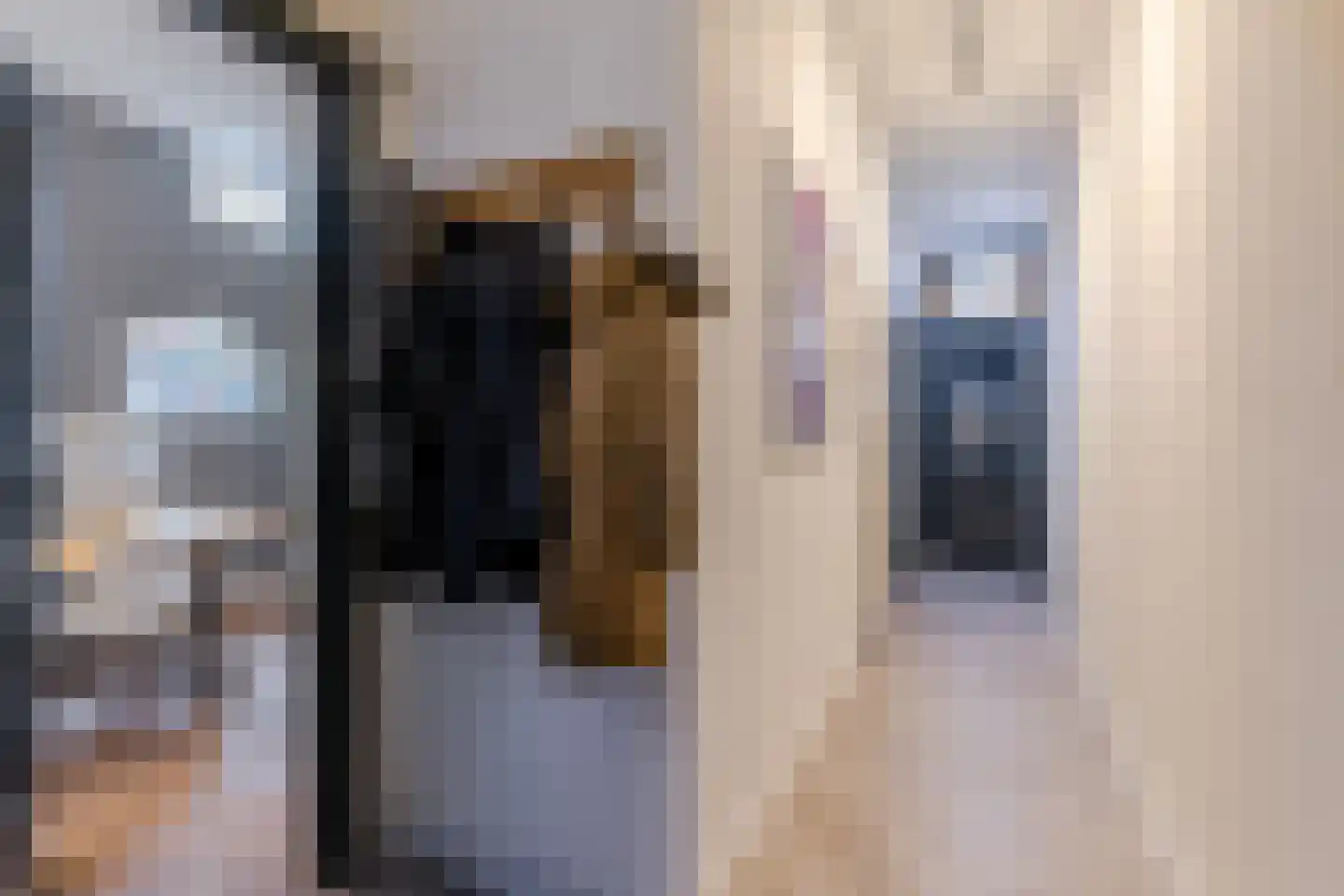 Houtstraat 2 Eindhoven thumbnail 7