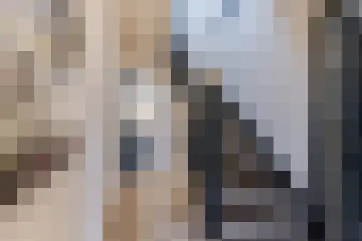 Houtstraat 2 Eindhoven thumbnail 7