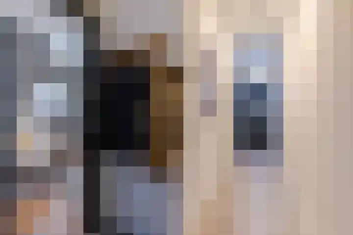 Houtstraat 2 Eindhoven thumbnail 8