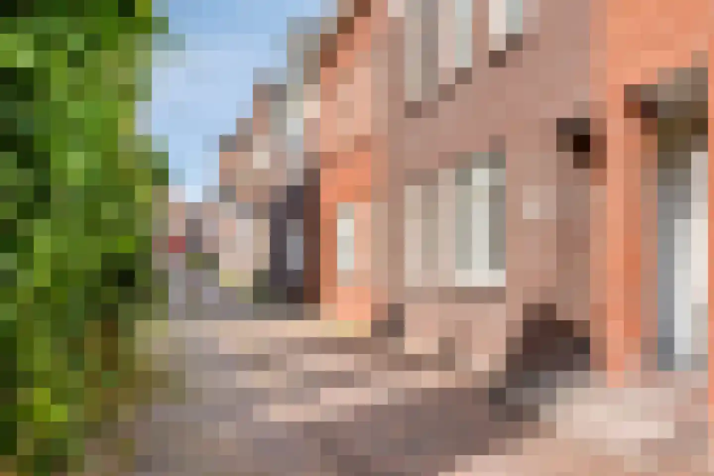 Houtstraat 20 Gennep thumbnail 29