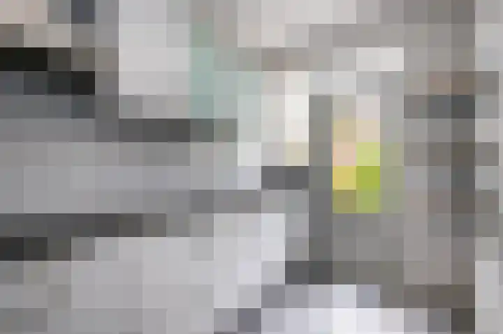 Houtstraat 21 Bergambacht thumbnail 11