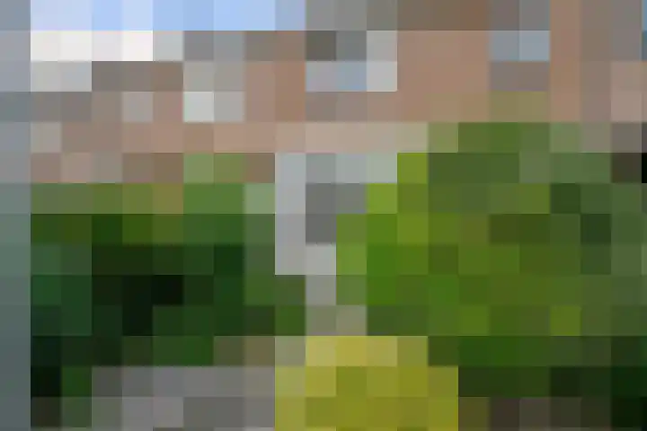 Houtstraat 21 Bergambacht thumbnail 18