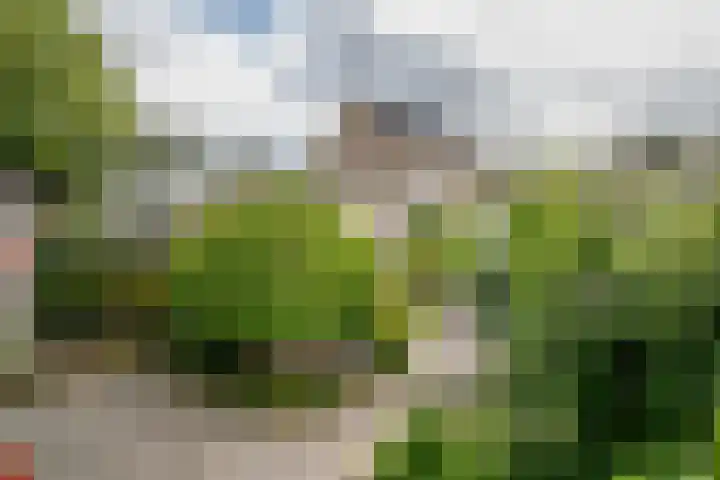 Houtstraat 21 Bergambacht thumbnail 19