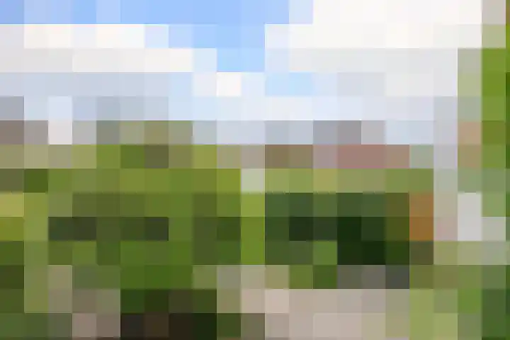 Houtstraat 21 Bergambacht thumbnail 20