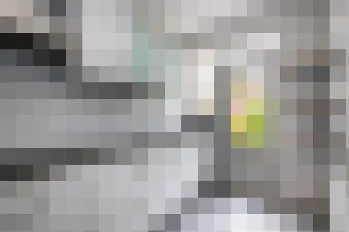 Houtstraat 21 Bergambacht thumbnail 4