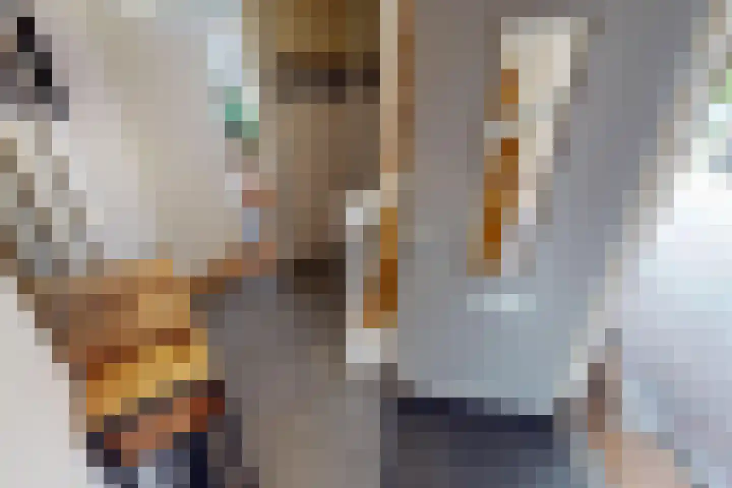 Houtstraat 22 Bovenkarspel thumbnail 13