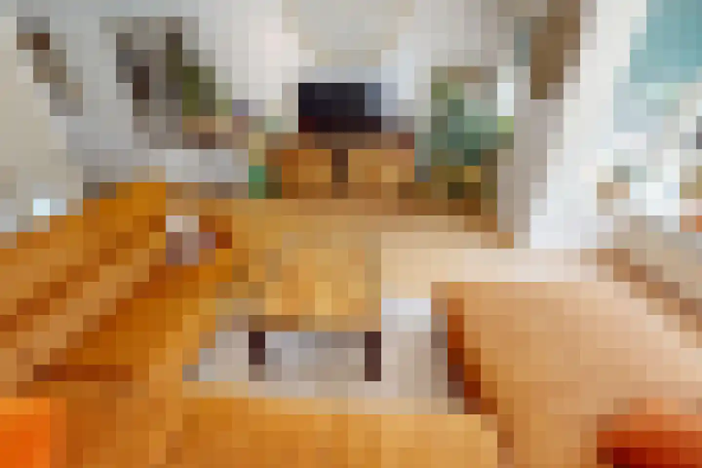 Houtstraat 22 Bovenkarspel thumbnail 17